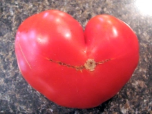 Heart Shaped Tomato